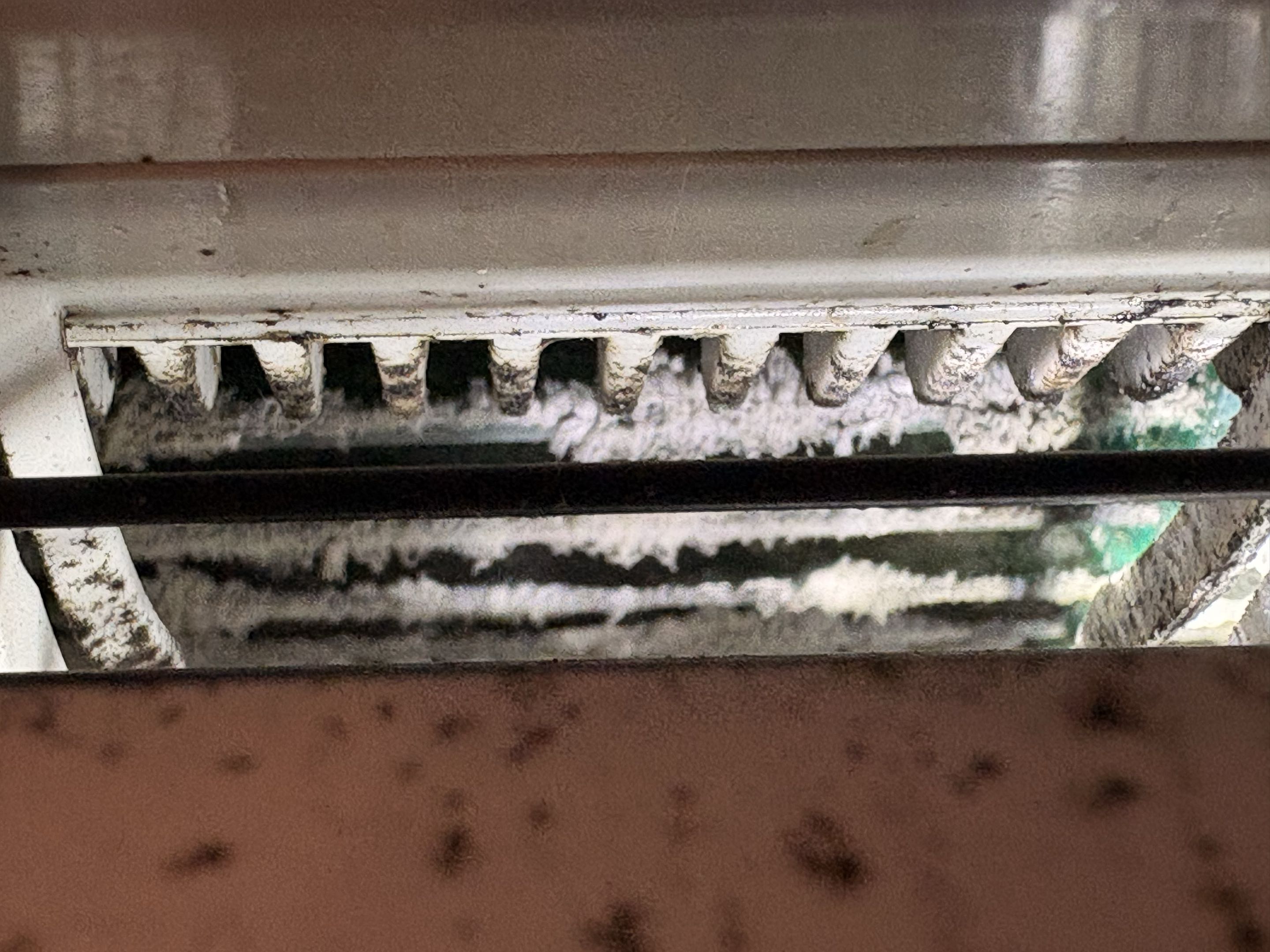 4-head Mitsubishi deep clean system. Re-scheduled 