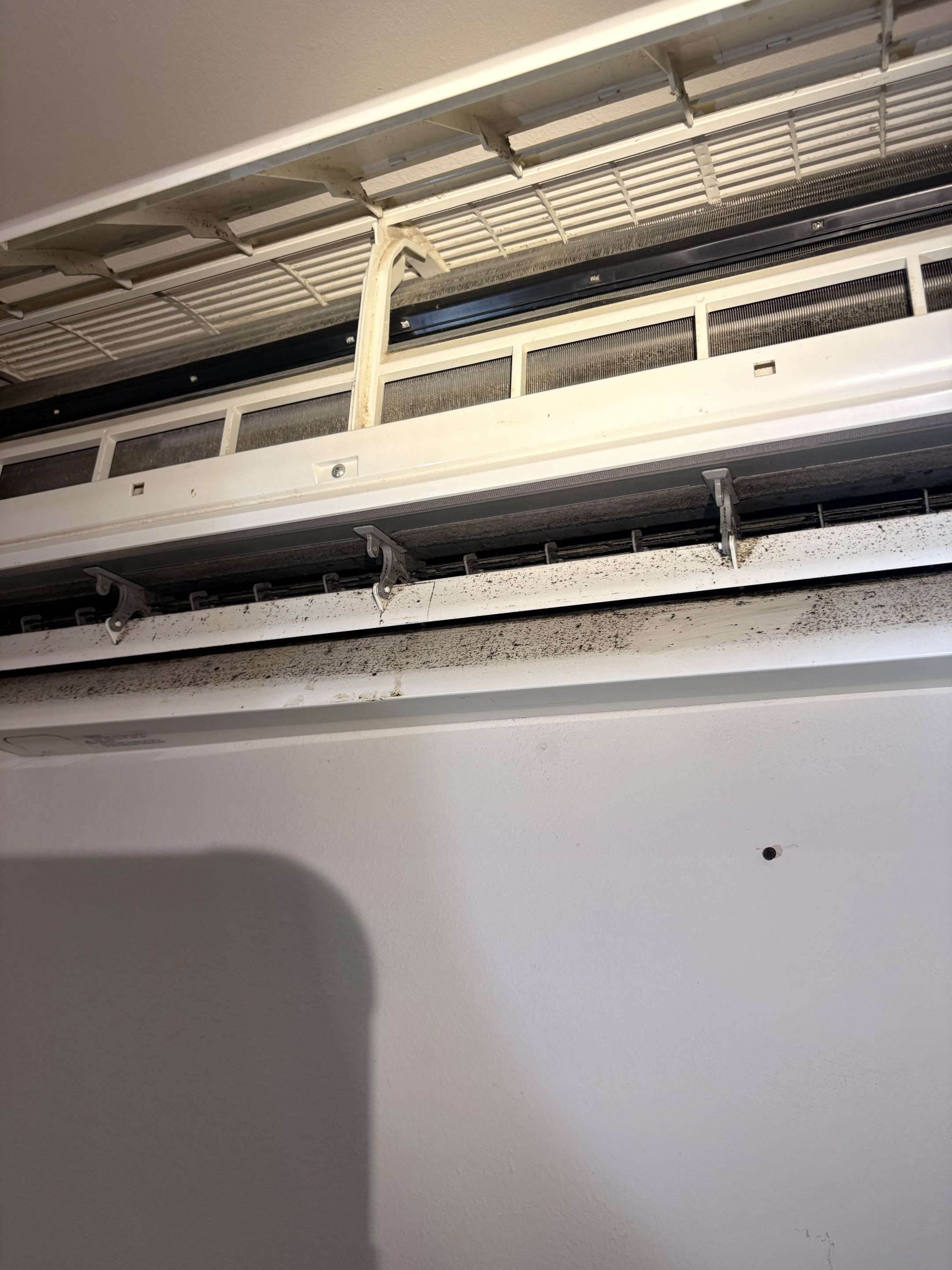 Service call. Fujitsu mini split dirty. Perform  deep cleaning system. 