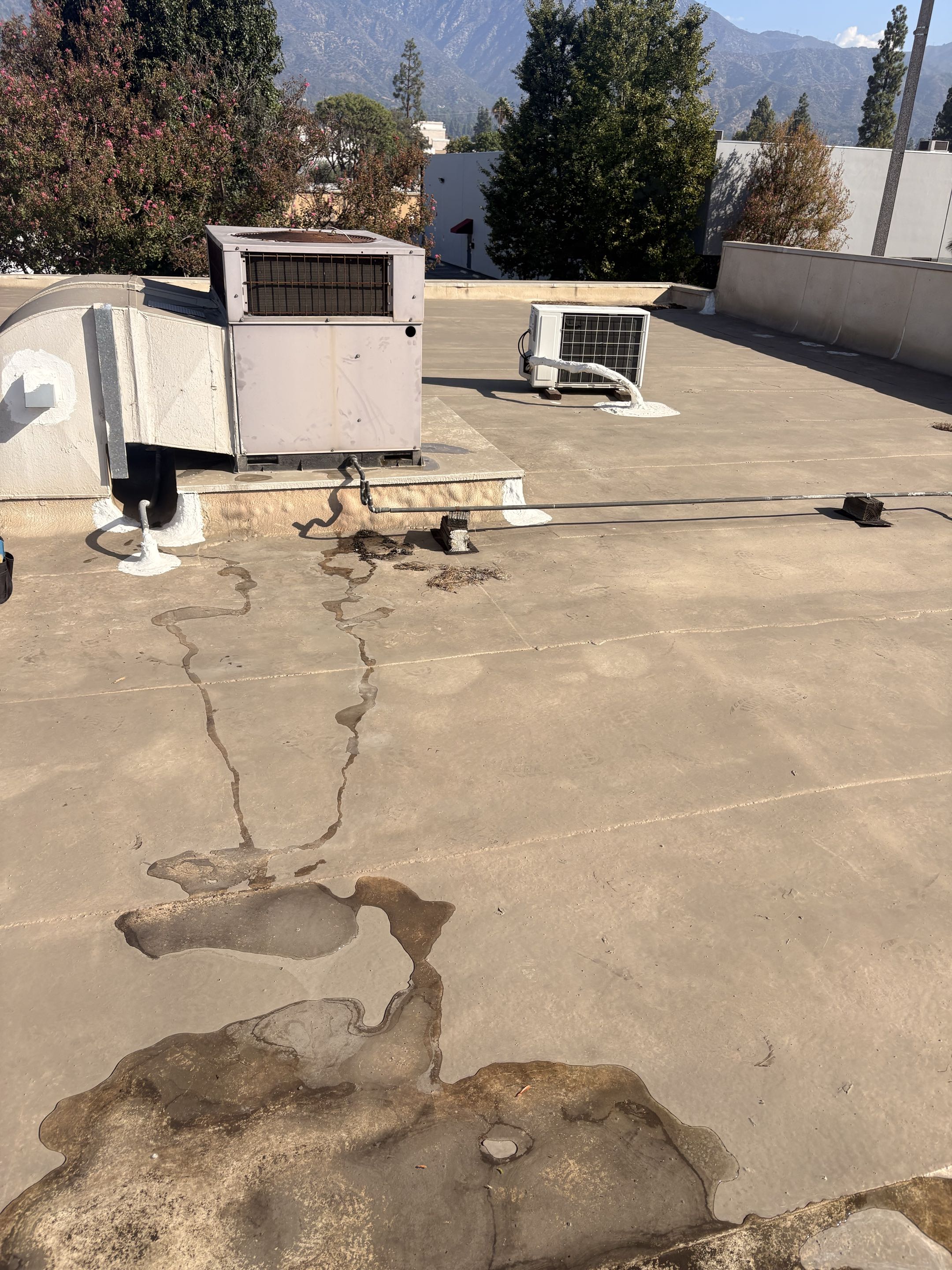 Commercial. Carrier water dripping thru roof. Perform service water intrusion. 