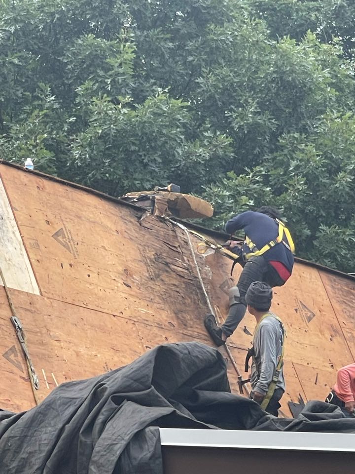 Replacing roofing sheathing before we put the metal roof on. 