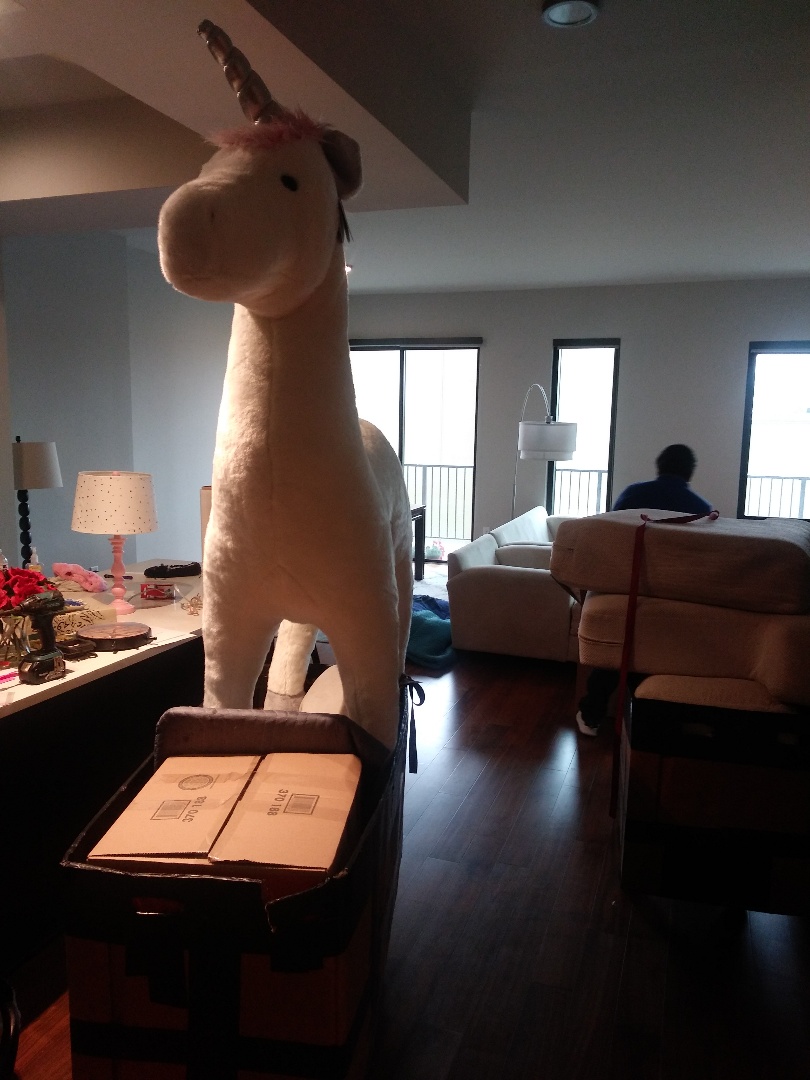 Houston, TX - Houston, TX -