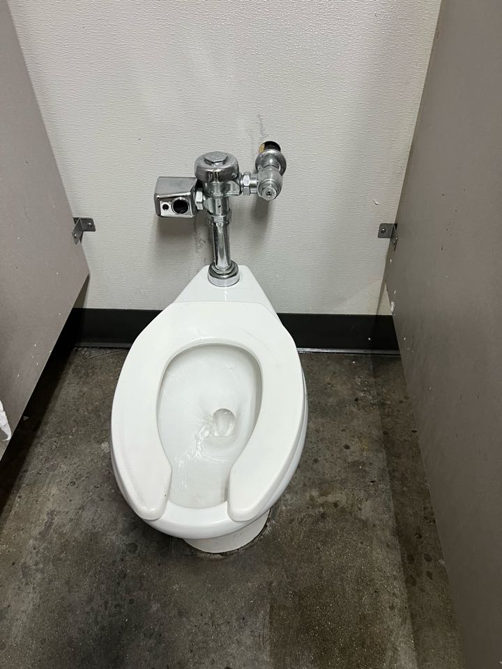 Plumber needed. Running toilet. Diaphragm 