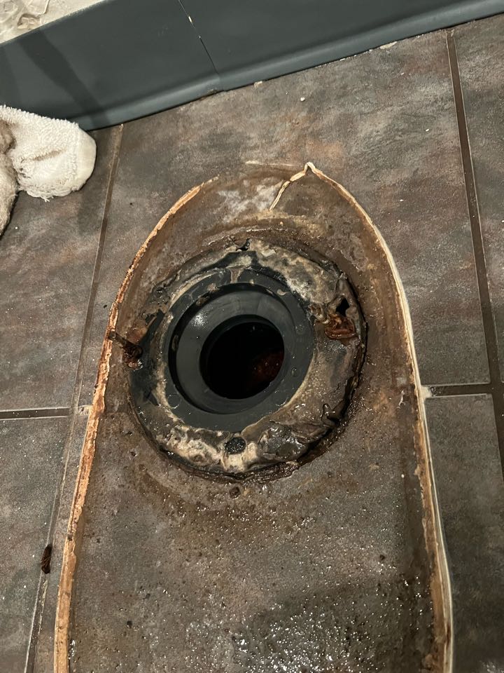 Plumbing Needed. Wax ring. Flange repair 