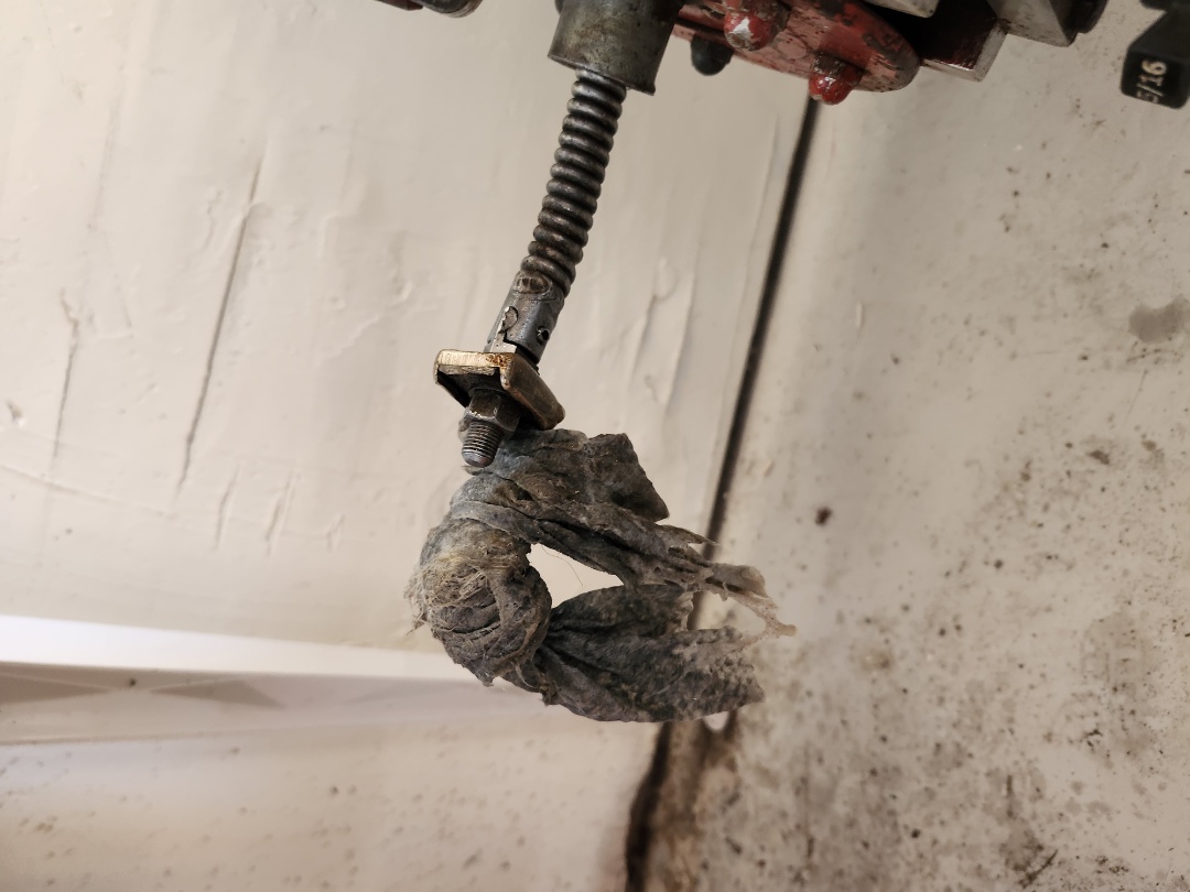 Plumber needed. Main Line backed up