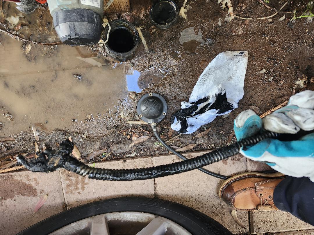 Plumber needed. Main Line blockage.