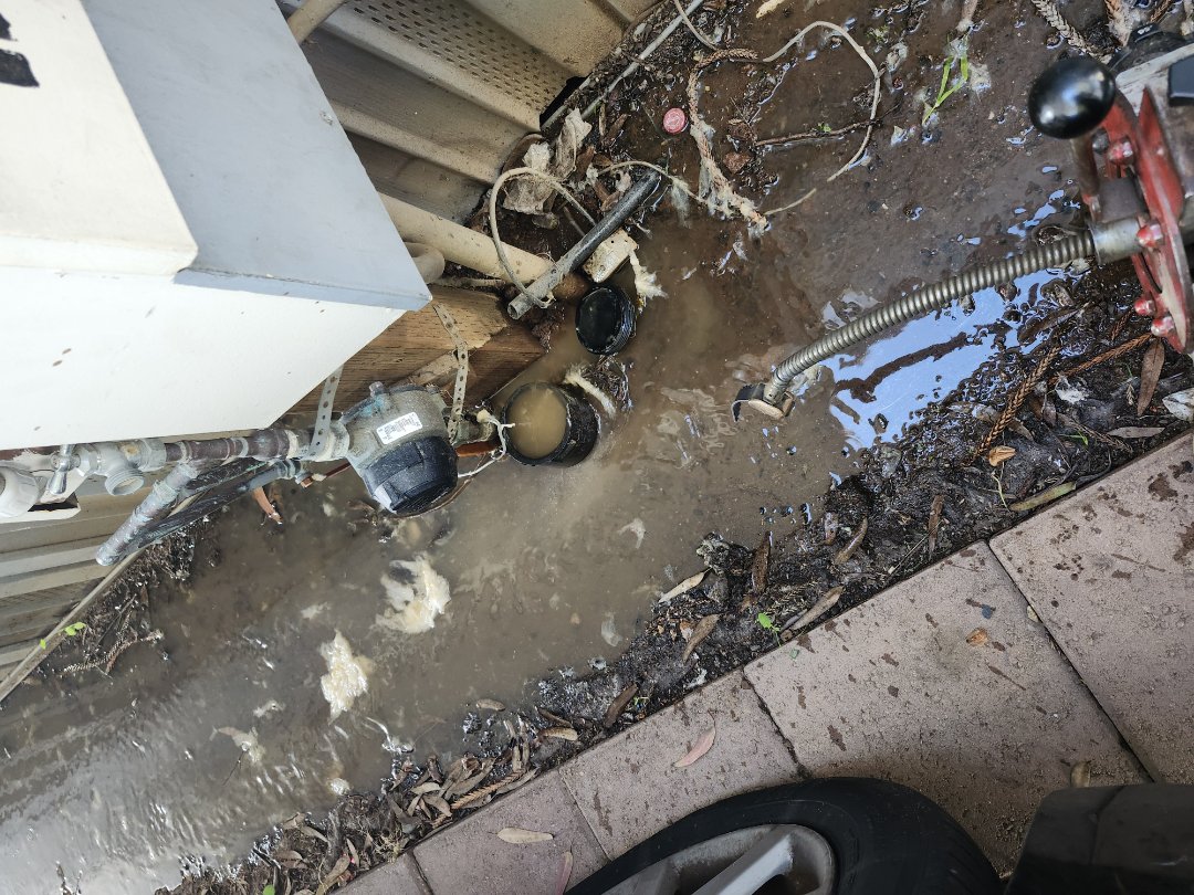 Plumber needed. Main Line blockage.