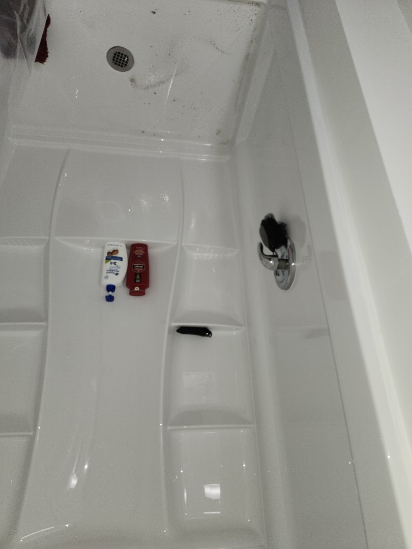 Main sewer line backed up. 