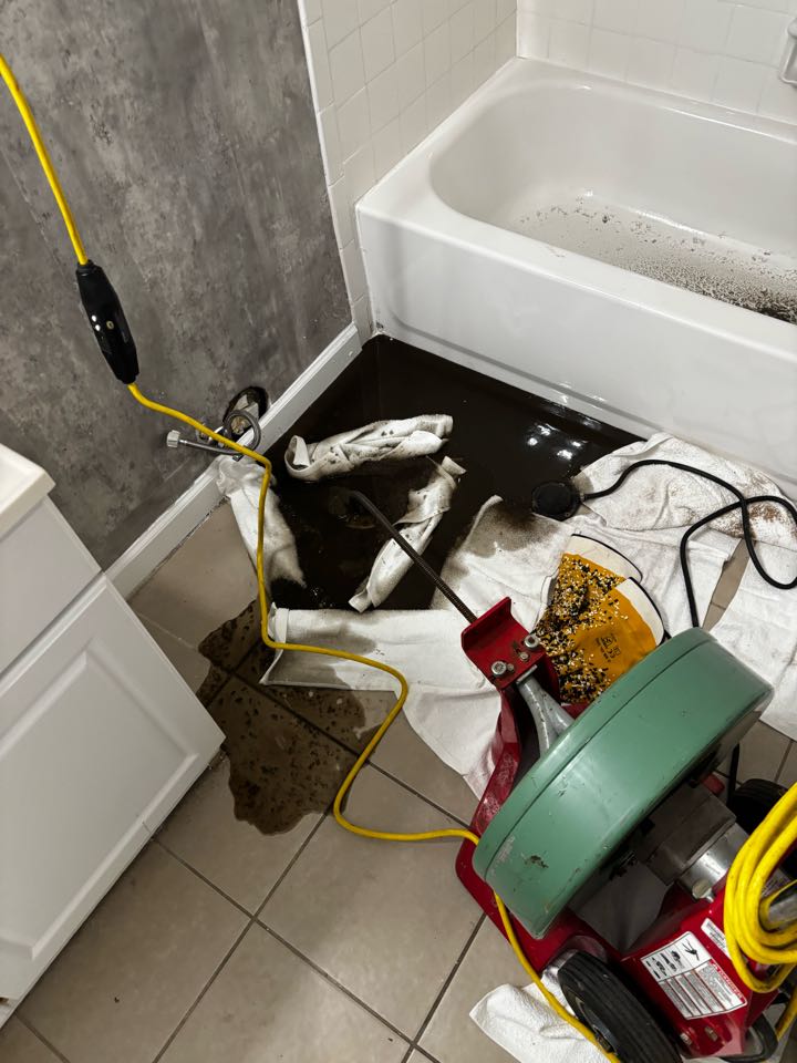 Cabled out main line through toilet flange in Detroit
