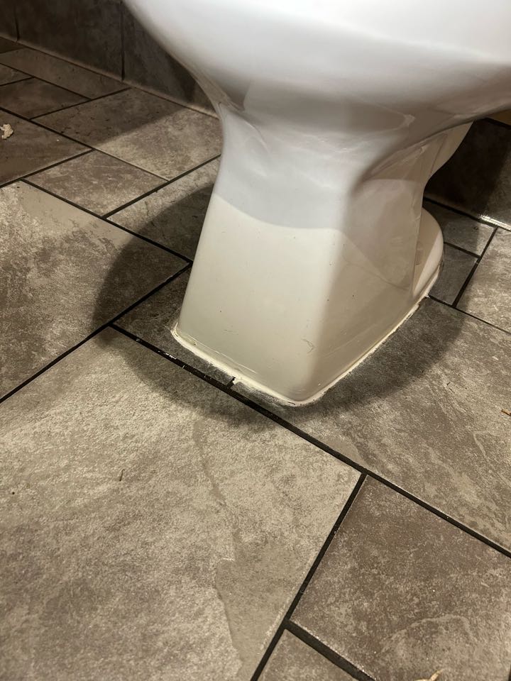 Toilet repair 