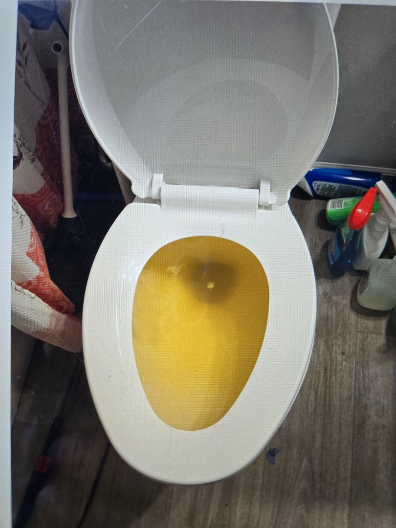 augered toilet in main floor bathroom. Wayne 