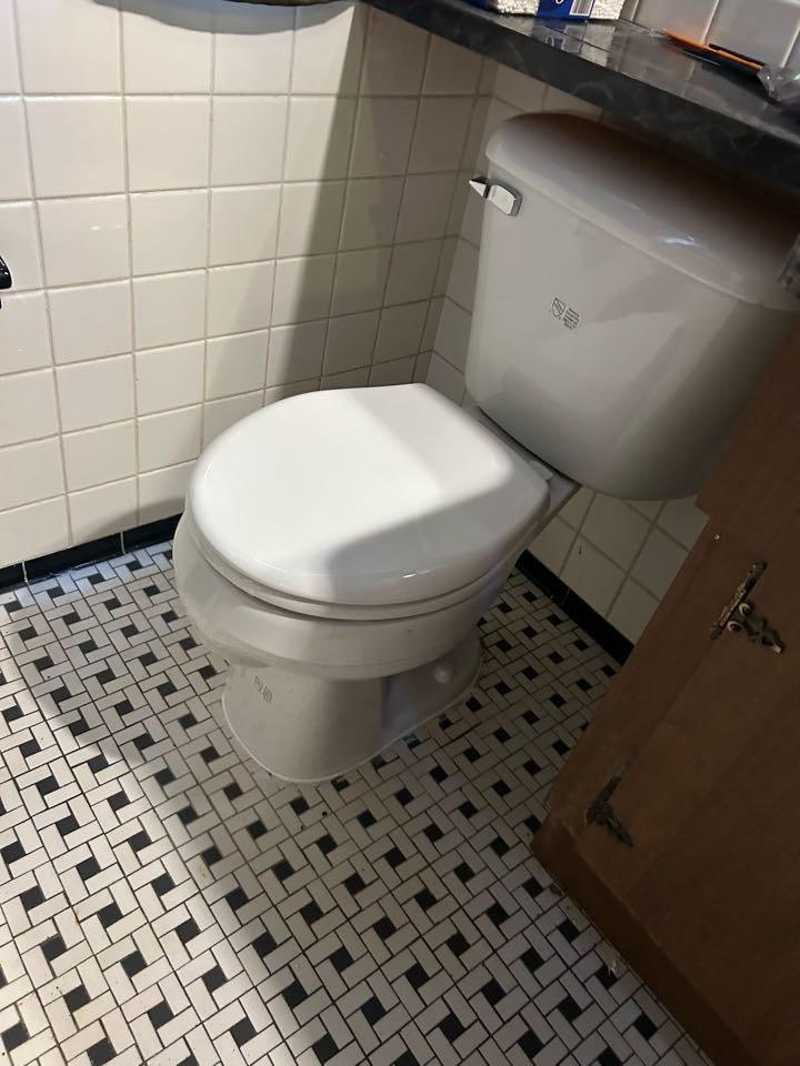 Toilet install