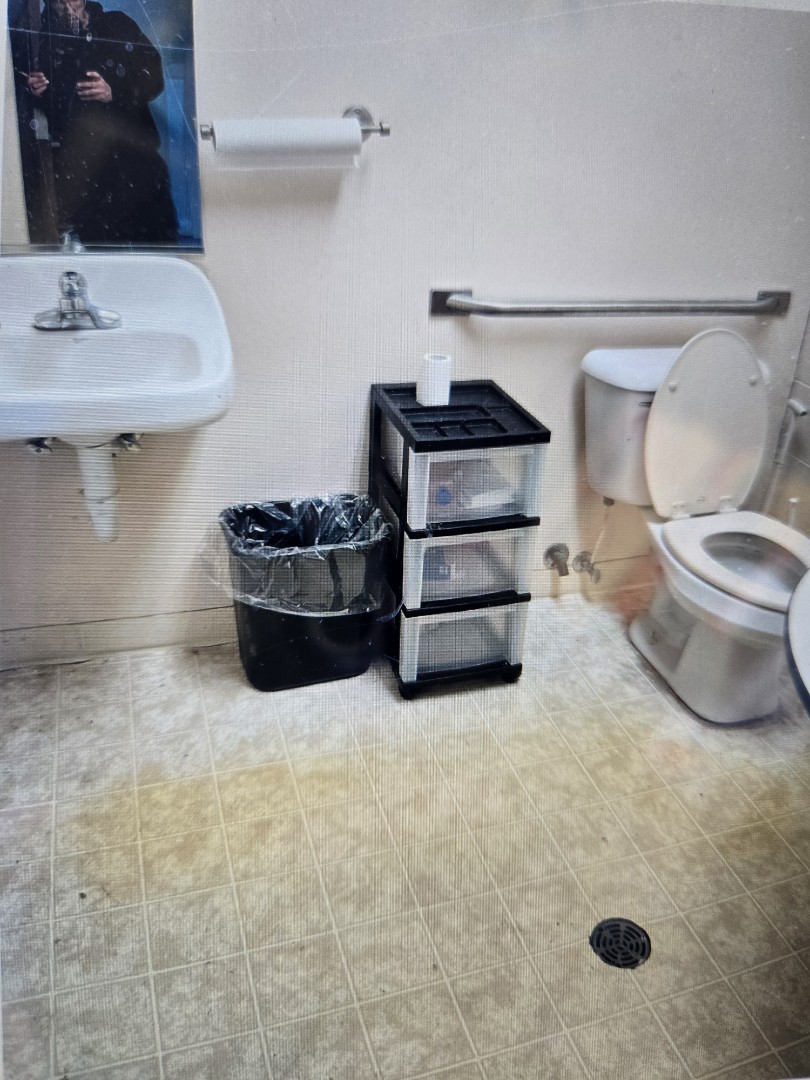 pulled toilet and cabled through the main line. Brownstown 