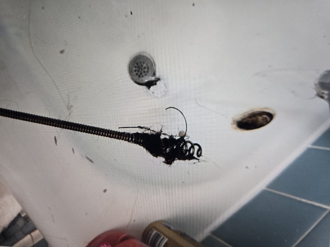 cabled through the tub drain line in upstairs bathroom. Grosse pointe park 