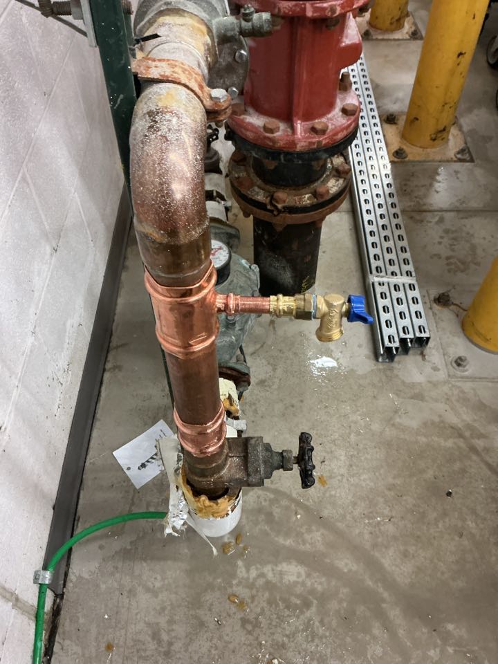 Installed new boiler drain valve in Novi