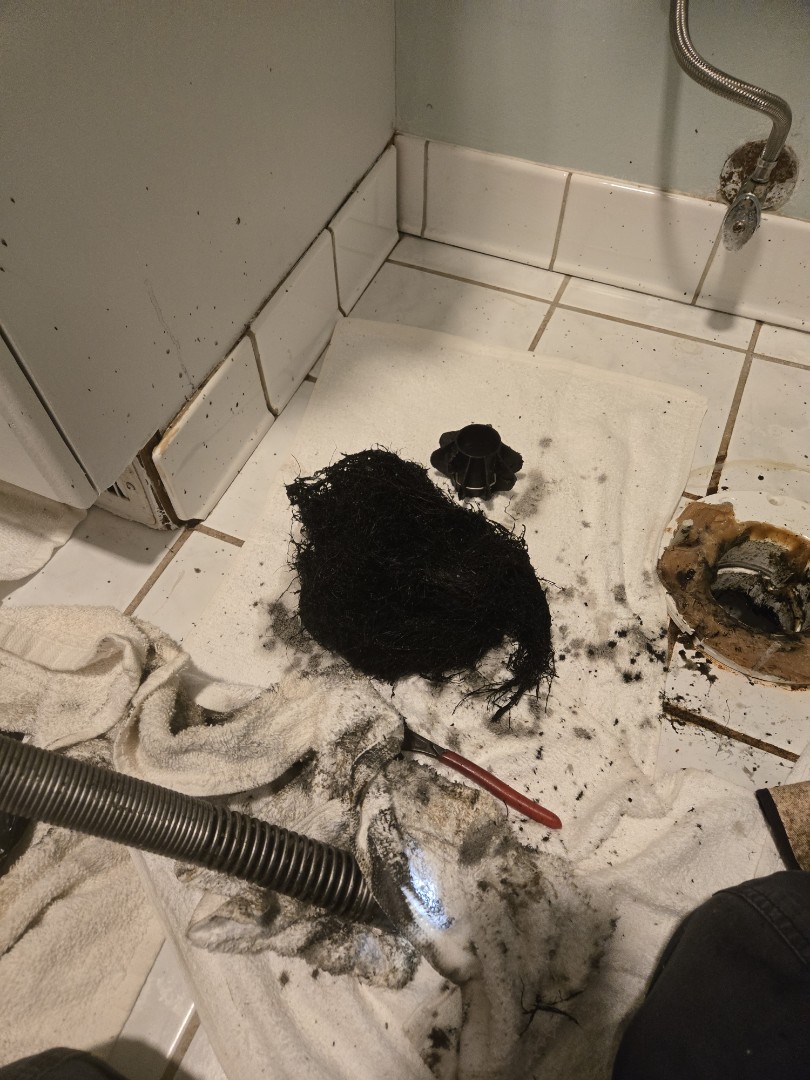 pulled toilet and cabled through the main line. Shelby twp 