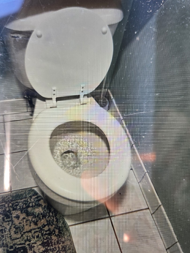 reset the toilet with a new wax seal and performed a high volume flush test. Shelby twp 