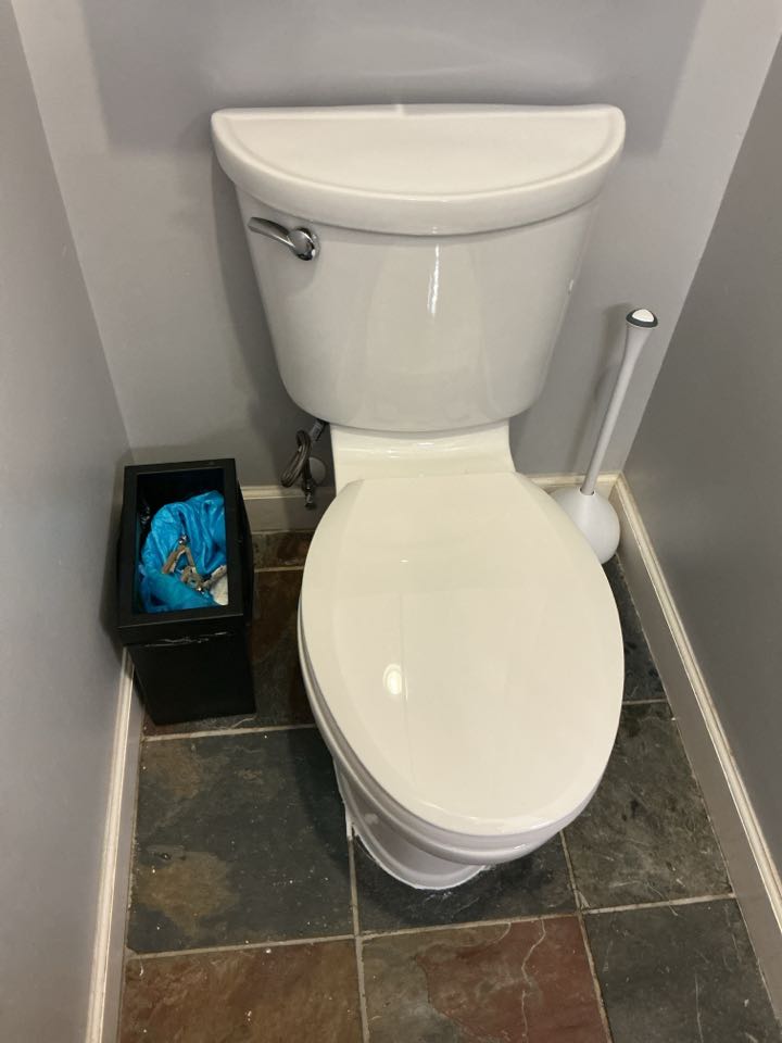 Replaced two toilets in Detroit