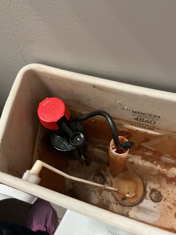 Replaced fill valve in toilet tank in Ray Township