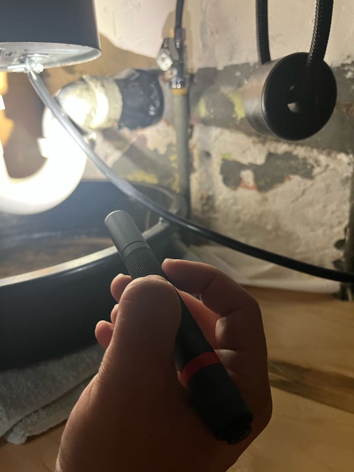 Leaking kitchen faucet in royal oak 