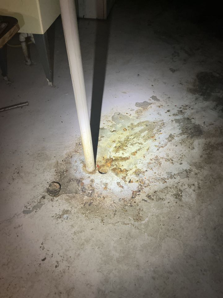 Estimate to repair sewer in highland park