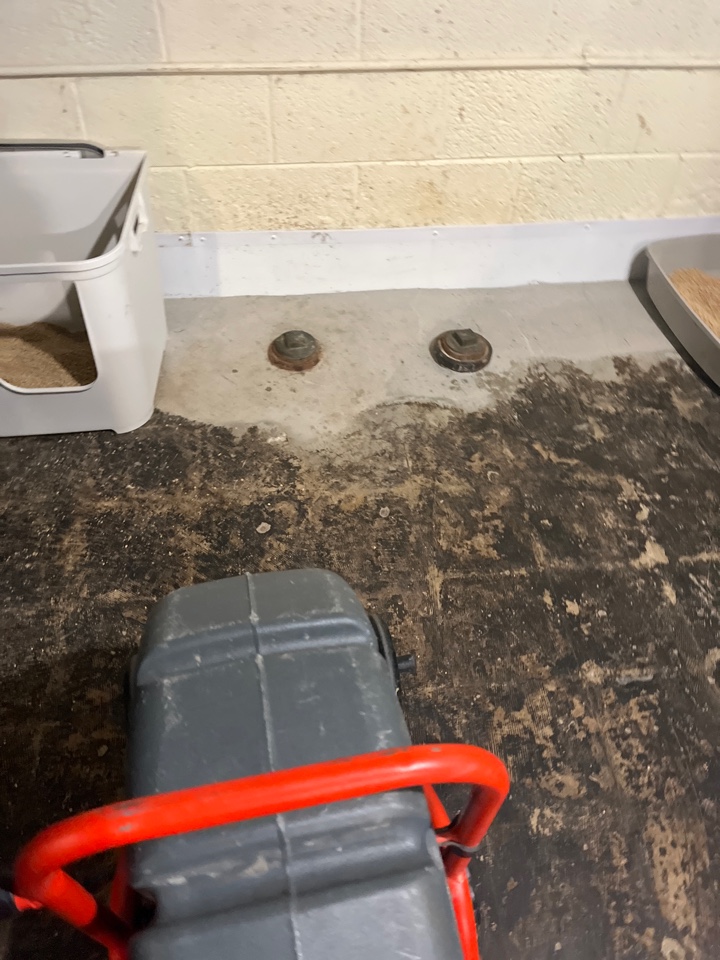 Drain repair estimate in Harper was