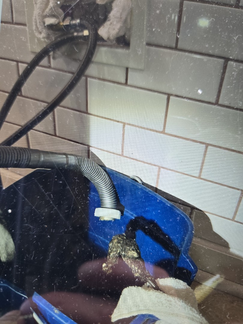 cabled through the shampoo sink/laundry drain. Ferndale 