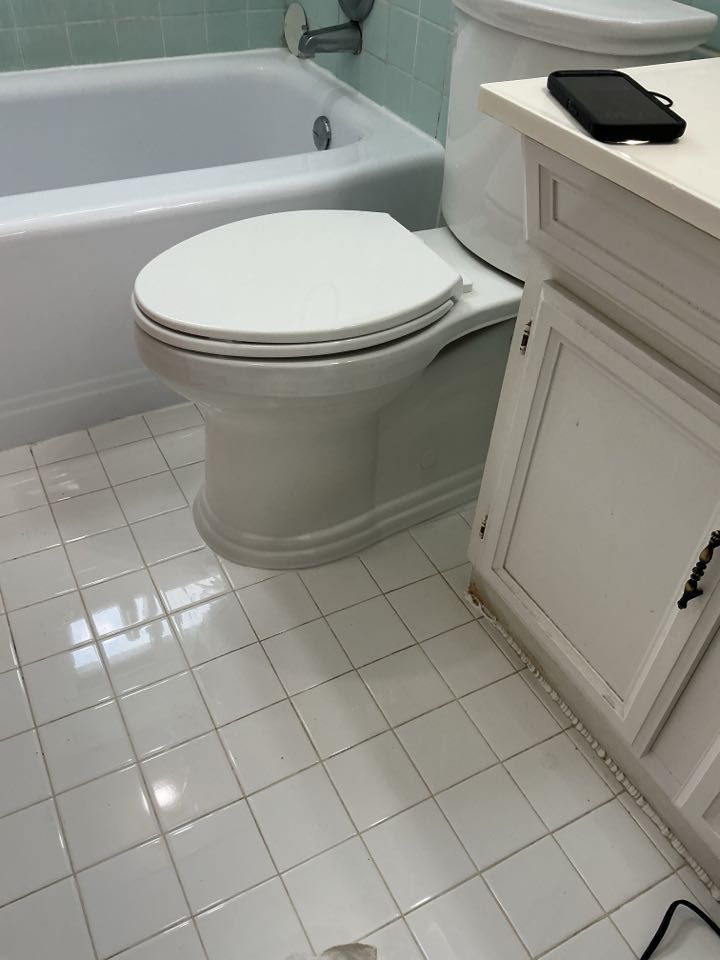 Install customer supplied skirted toilet in Plymouth mi