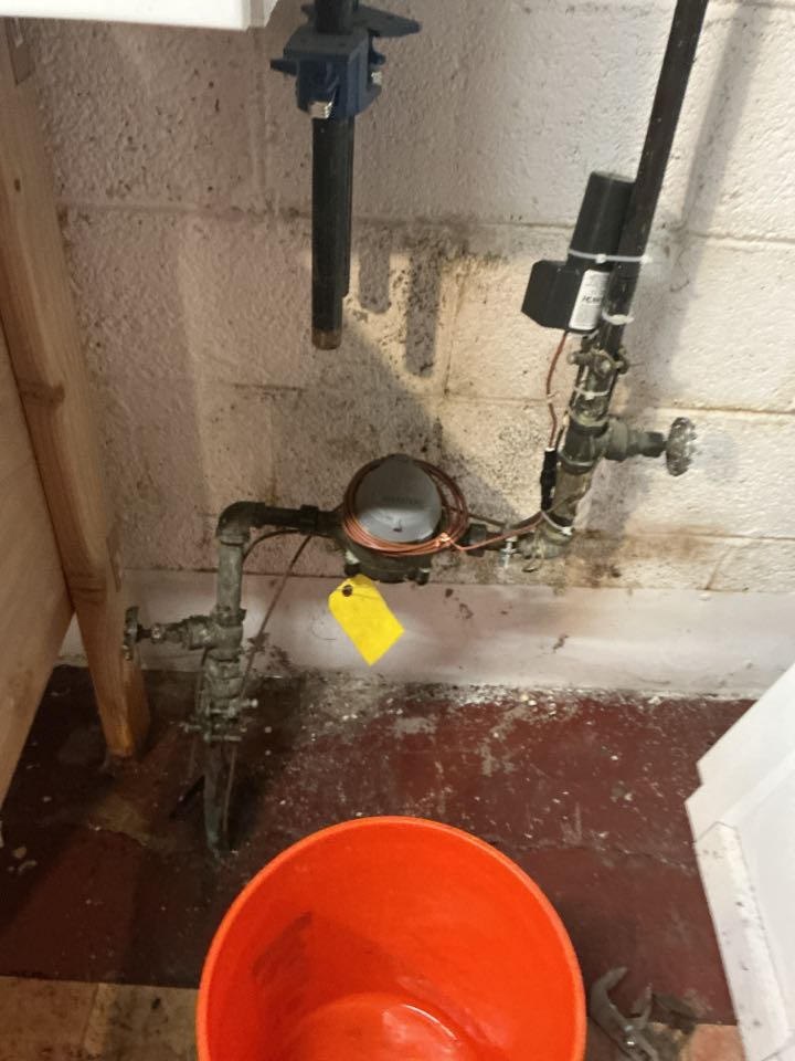 Repaired leak in Grosse Pointe Woods