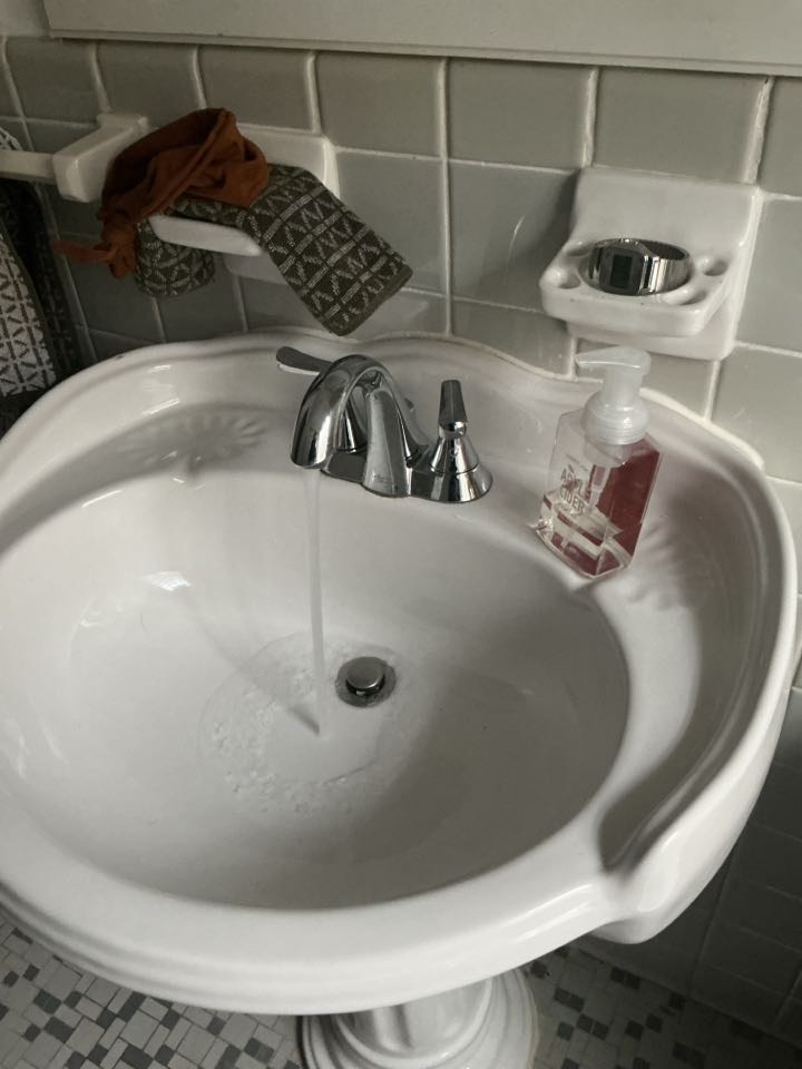 Snaked bathroom sink in Royal Oak