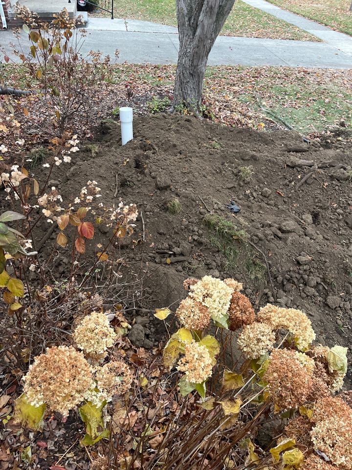 Sewer repair in royal oak 