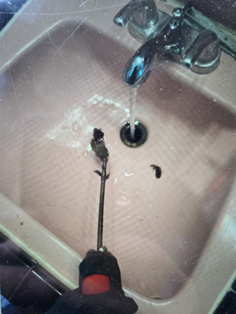 cabled through the lav sink drain in the main bathroom. eastpointe 