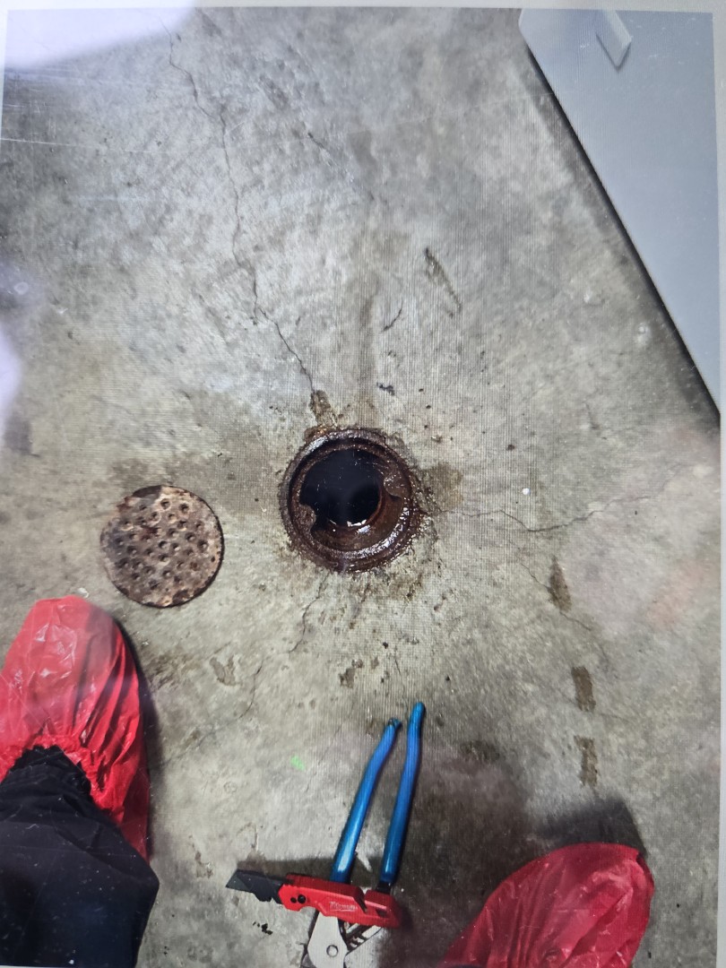 cabled through the floor drain in laundry room. Saint Clair Shores 