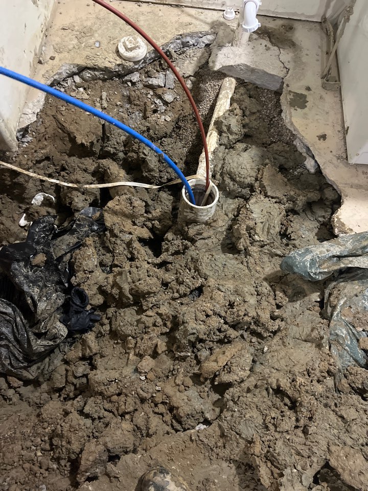 Patch in Sterling Heights 