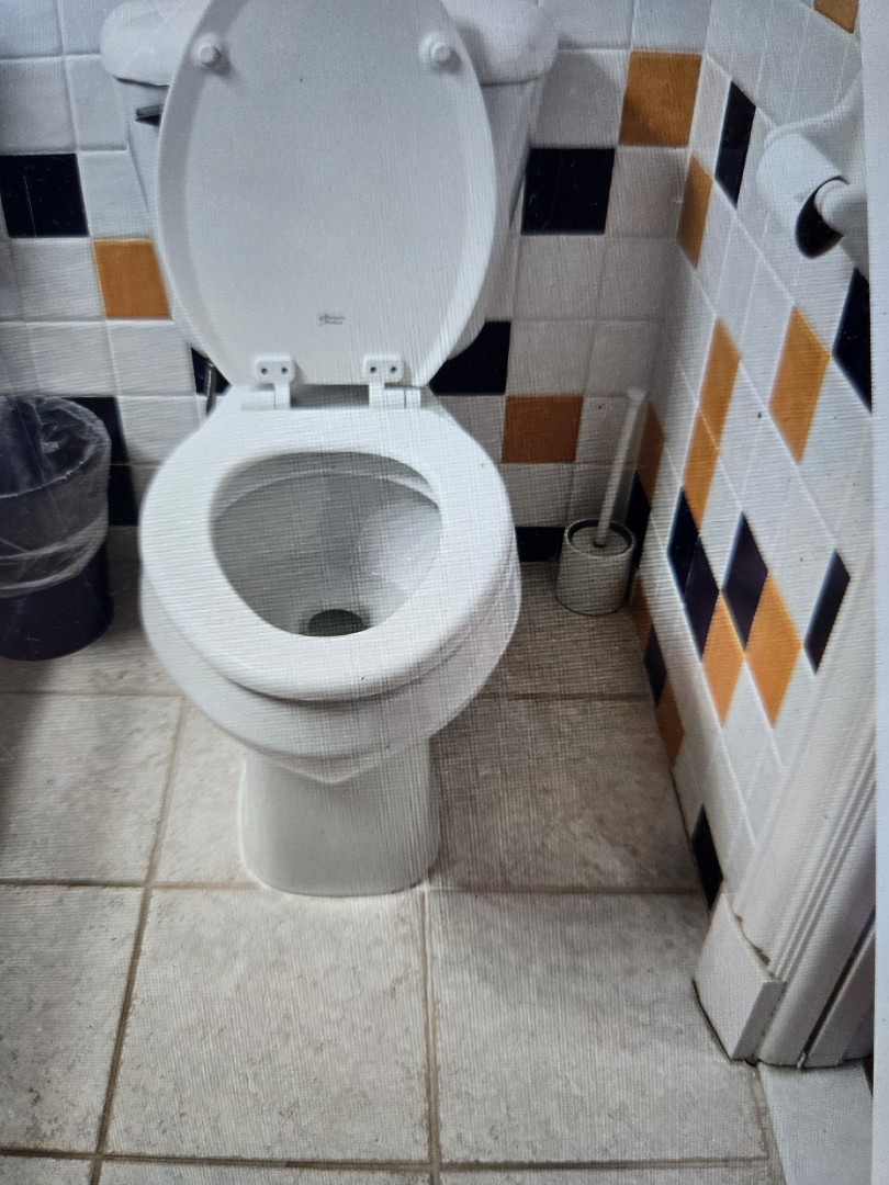 left estimate to pull the toilet and enter the crawl space. replace 3inch pvc and closet 90 with new flange and reset the toilet with a new wax seal. Grosse pointe farms 