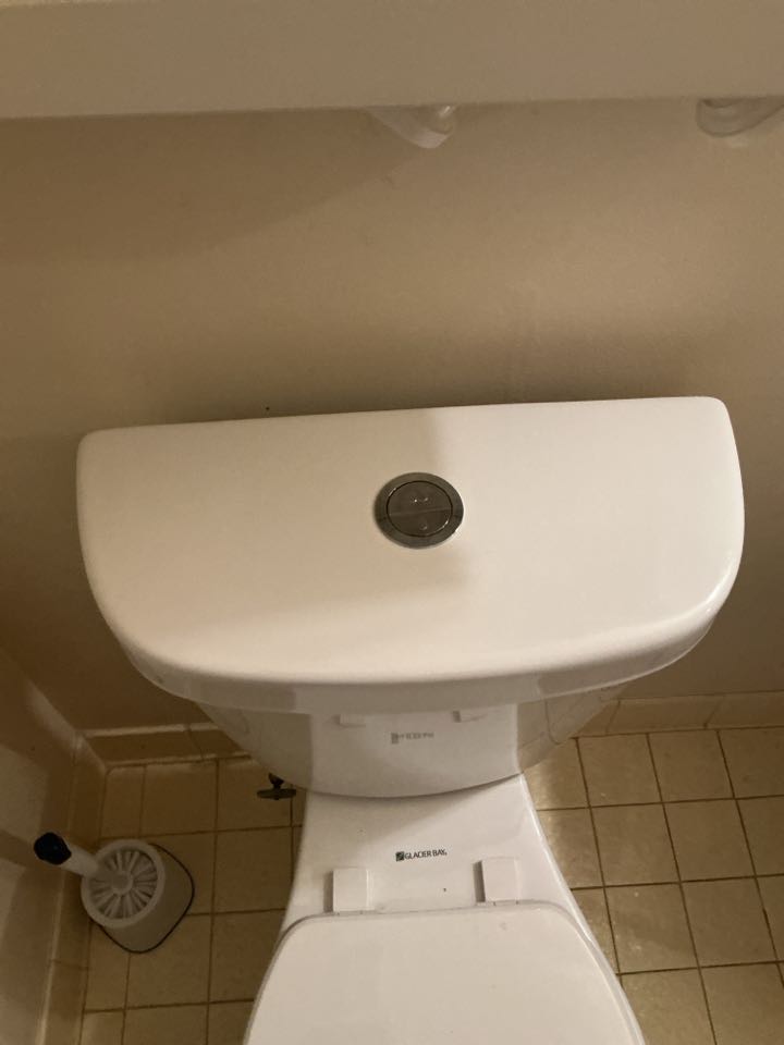 Repaired toilet in Eastpointe