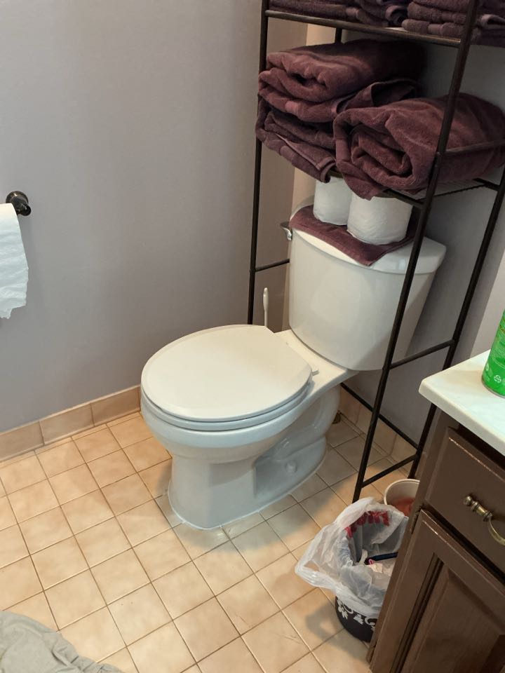 Pulled and reset toilet in Washington