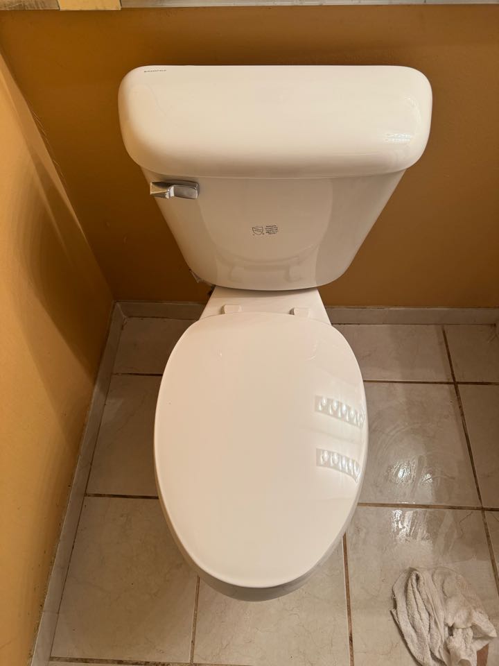 Replace toilet in Southfield mi