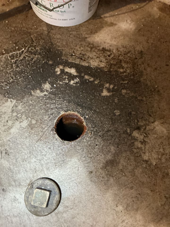 Snake blocked sewer in Troy 