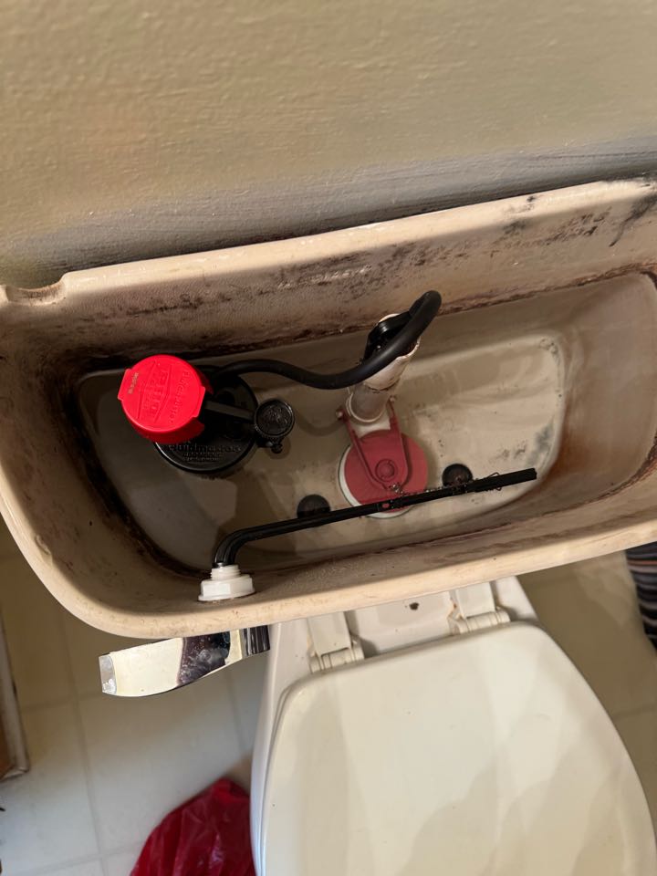 Rebuild toilet in Romulus mi