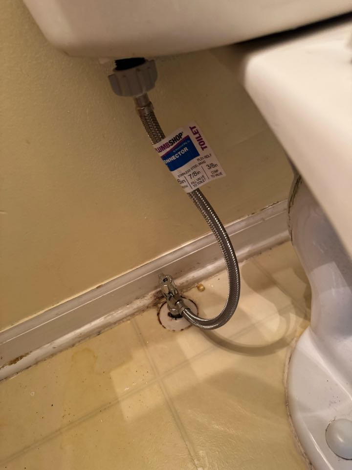 Replace toilet shut off in Romulus mi