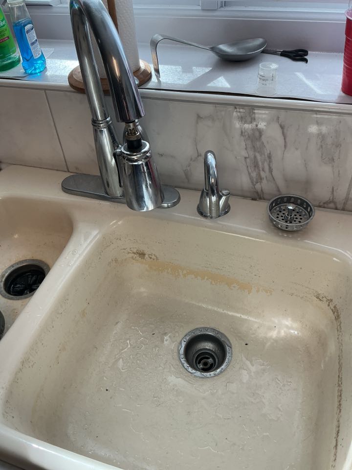 Snake kitchen drain in Sterling Heights