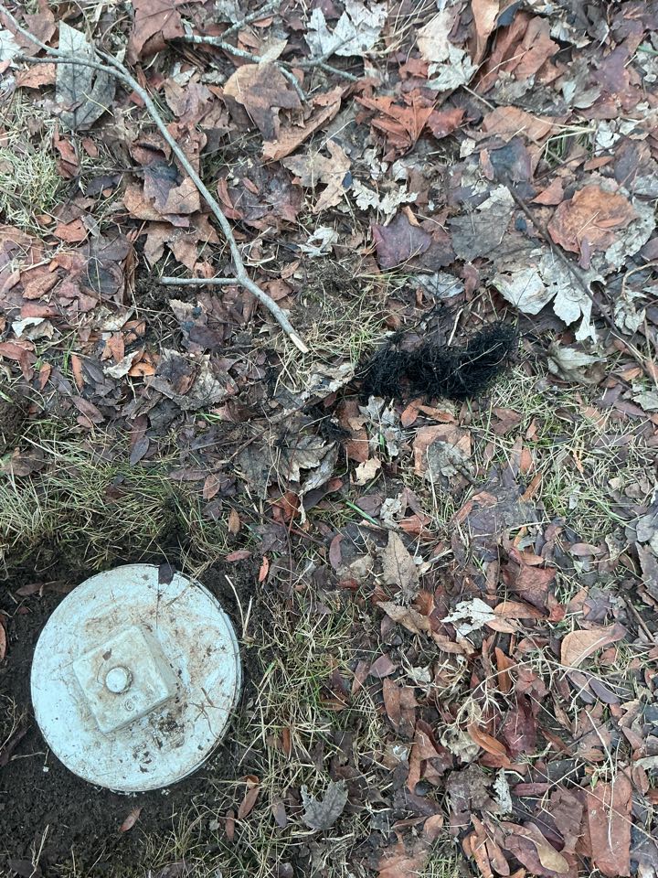 Snaked sewer in Mt. Clemens