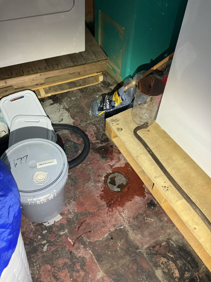 Estimate to snake drain in Detroit 