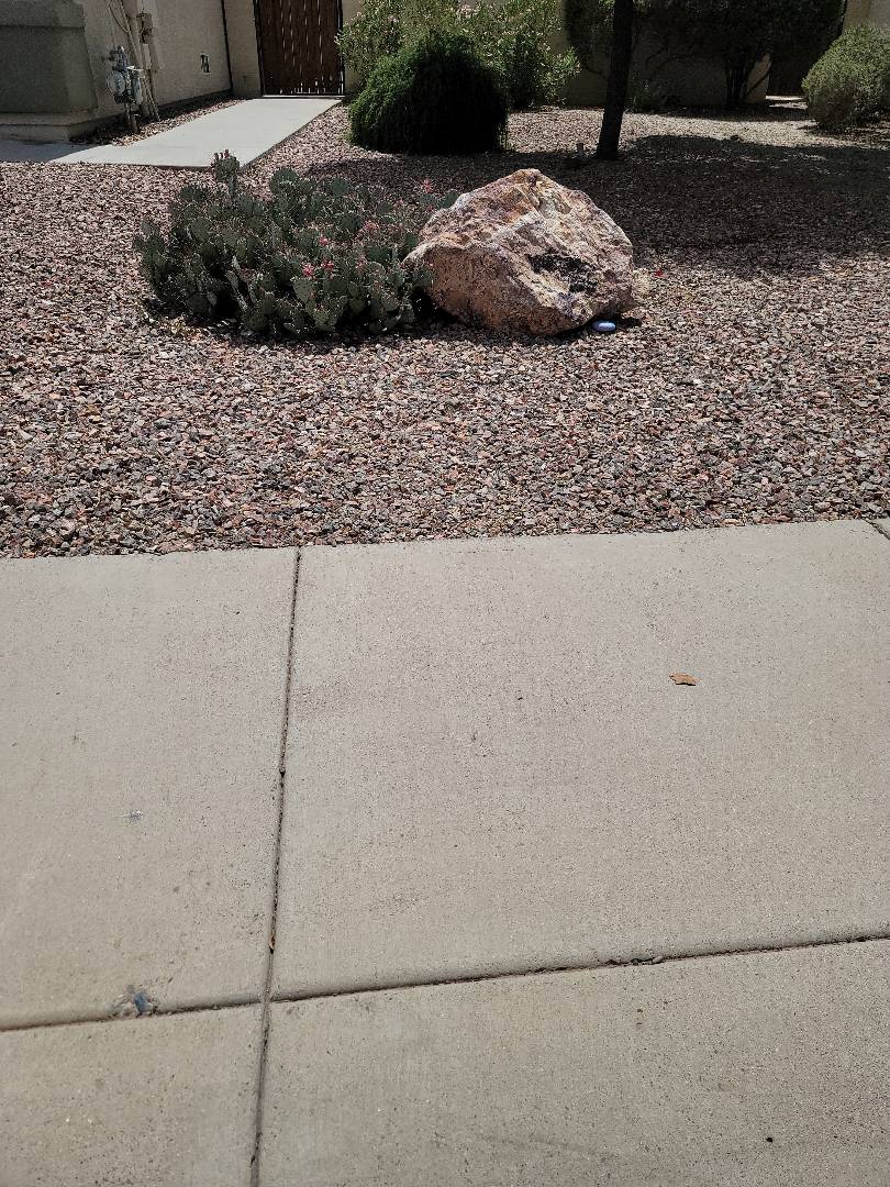 Pest And Termite Control Avondale, AZ Bills Pest & Termite