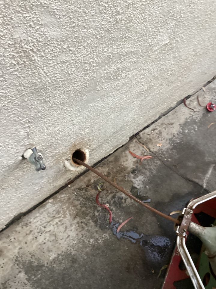 Ran snake for kitchen drain in corona Del Mar ca for a single family 2 bath