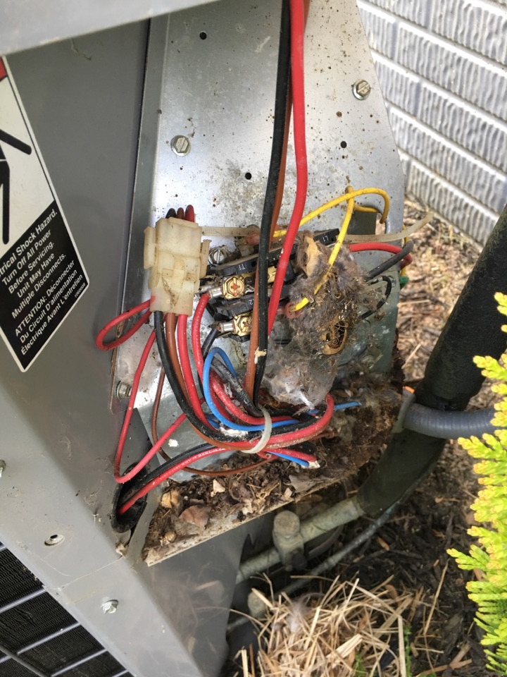 Bryant ac repair and evaporator coil