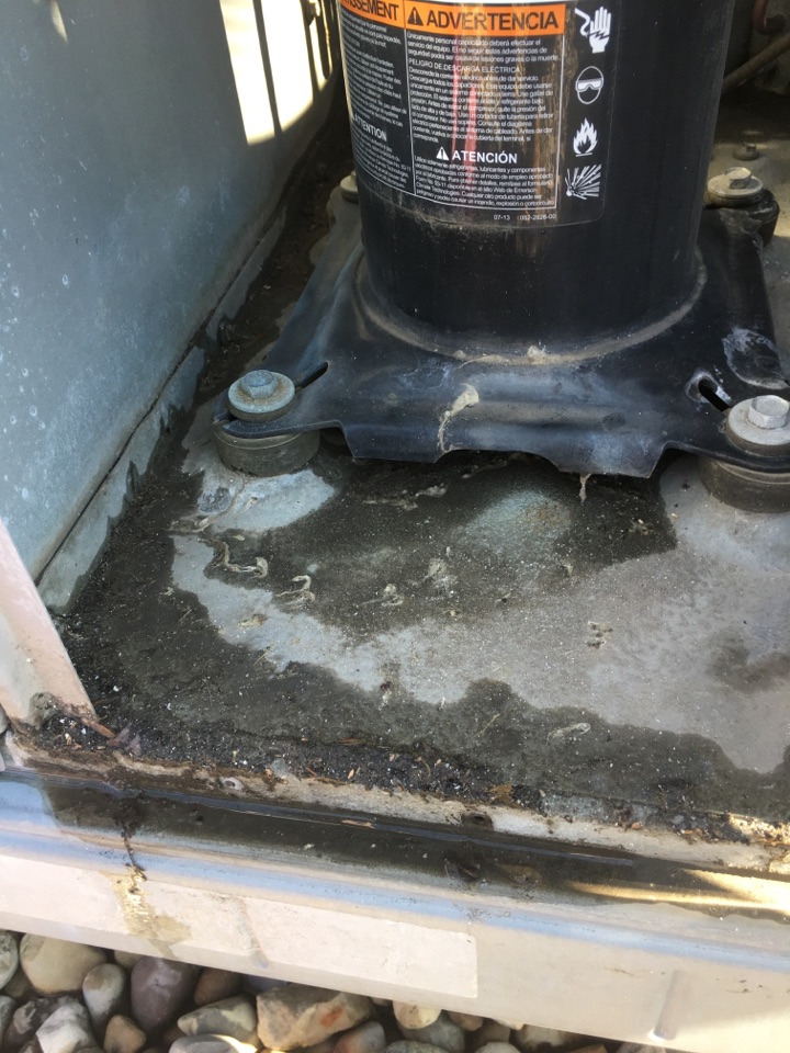 Repair frozen ac bryant