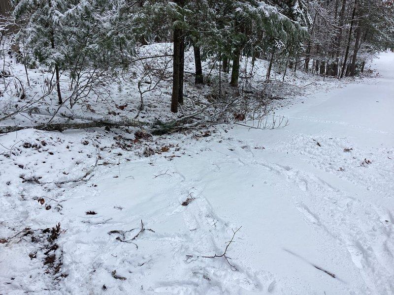 Responded to service call for Lennox furnace displaying error code 224 (pressure switch failure). Troubleshooting revealed voltage issues and pressure switch faults. Performed wiring cleanup in external draft motor and furnace components to resolve the failure. Additionally installed Honeywell T10 thermostat to improve system control.