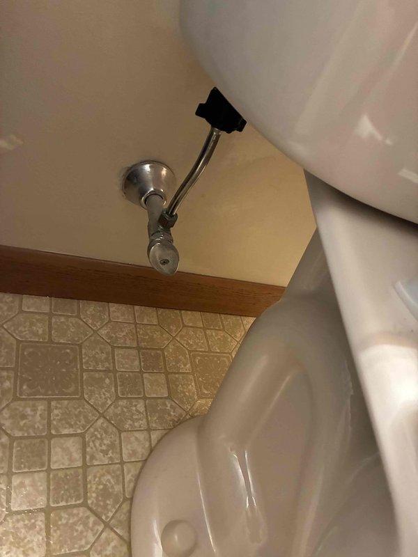 Provided customer with estimate for installation of new comfort height elongated toilet to replace current low-profile unit. Examined existing plumbing connections including chrome shutoff valve and metal supply line, which appear to be in good working condition. Discussed color options and comfort benefits of taller toilet model with customer.