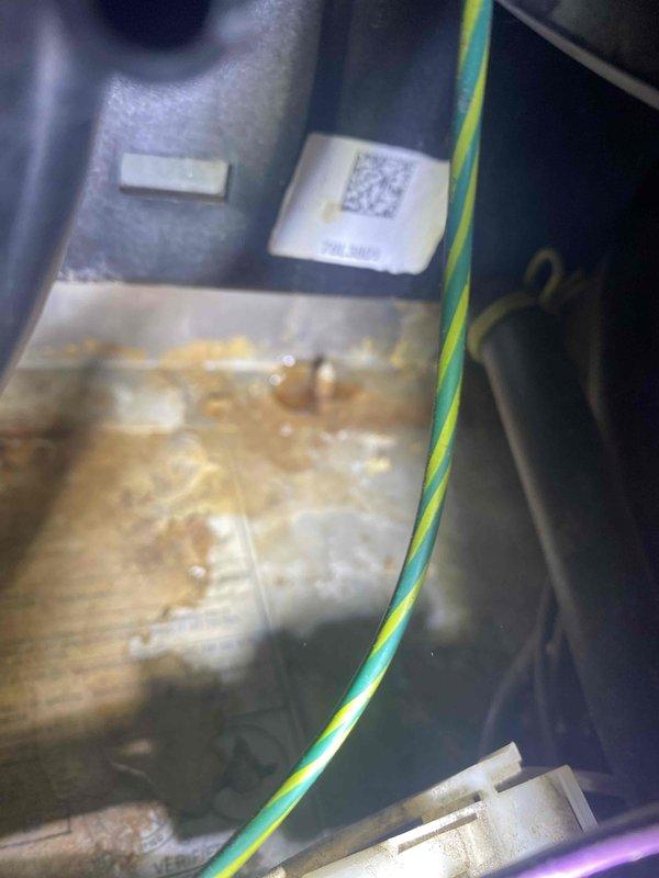 Diagnosed and replaced failed inducer motor on 15-20 year old heating system that was preventing operation. Installed new collector box gasket to address corrosion and moisture buildup observed in housing. System restored to normal operation and heat function confirmed.